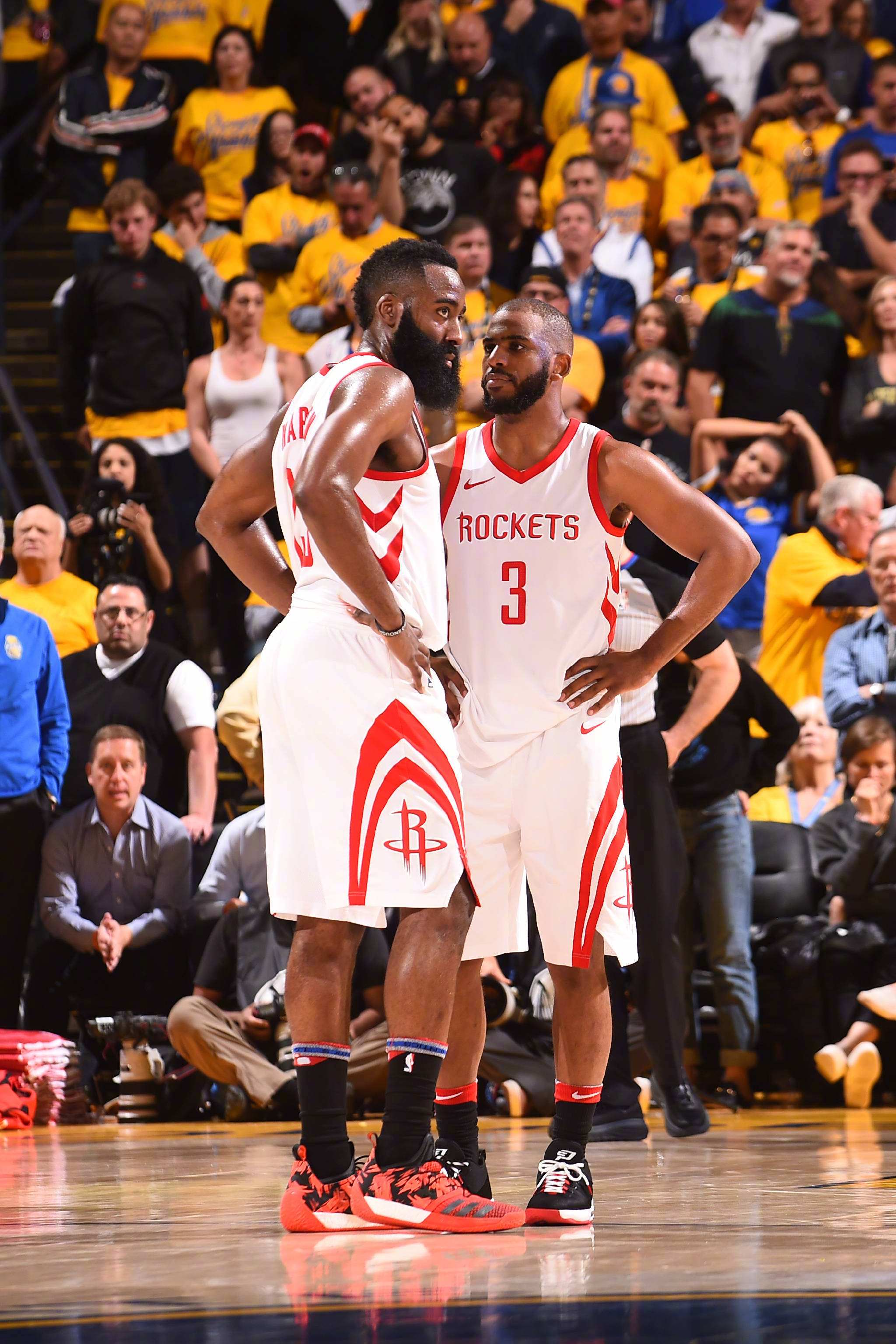 扎实体能基 扎实体能基